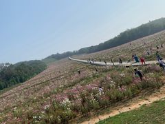 -大连铭湖国际观光牧场