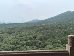 -灵谷景区