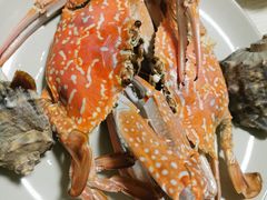 -碧桂园十里银滩