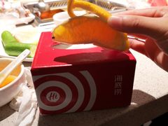 -海底捞大排档火锅(悦荟广场店)