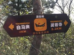 -灵岩山风景区