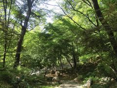 -崂山九水游览区