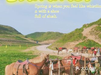 吉首不算是旅游城市，所以来这里玩儿还是比较需要做一下