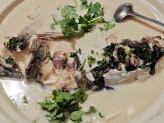 大鱼头豆腐汤-新白鹿餐厅(第一百货店)