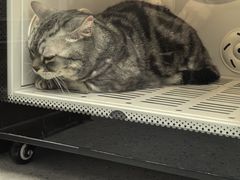 -FAELING PETS美天灵宠物(富力广场店)