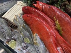 -海钓船(国际游艇汇店)