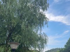 -白马涧龙池景区