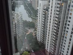 -新湖明珠城