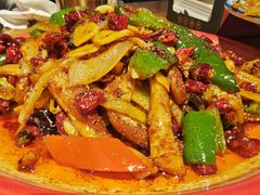 -柴窝堡22号辣子鸡·传承新疆菜