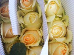 -昆明国际花卉拍卖交易中心