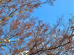 -良渚古城遗址公园