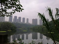 -重庆彩云湖湿地公园
