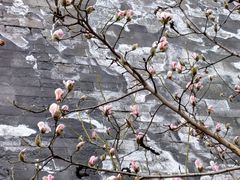 -东华门大街小区