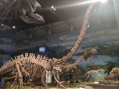 -自贡恐龙博物馆