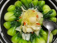 百合上海青-圆苑(兴国路店)