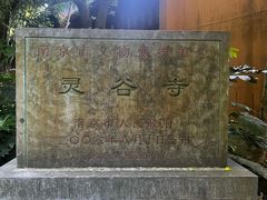 -灵谷景区