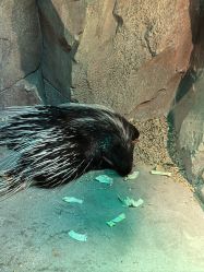 -酷嗒动物文化乐园(cutezoo西溪乐天城店)