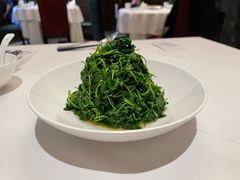 -南麓·浙里(外滩店)