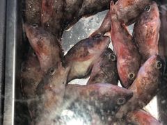 -吉香碳烤生蚝(仙霞路店)