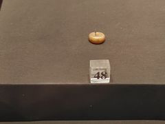 -上海崧泽遗址博物馆