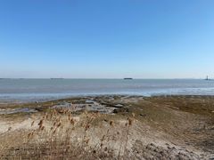 -上海吴淞炮台湾国家湿地公园