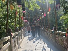 -野象谷景区