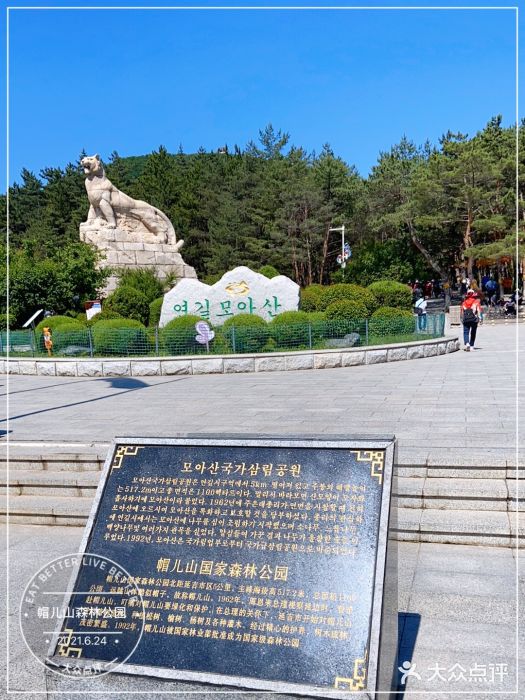 帽儿山国家森林公园图片