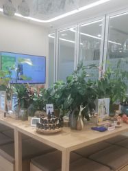 点击看大图 -dōTERRA多特瑞精油生活馆