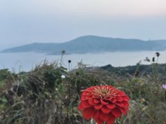 -东极岛景区