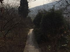 -南山风景名胜区