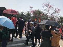 -天适樱花悠乐园