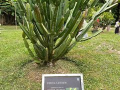 -中国科学院西双版纳热带植物园