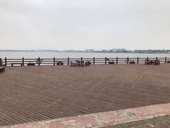 -鹅湖玫瑰文化园