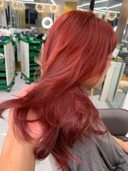 -潘多拉Hairsalon