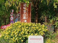 -鼓岭旅游度假区