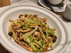 砂锅菌菇-掌柜的店·河南菜(新天地店)