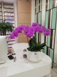 -重庆联合丽格美容医院
