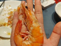 -金狮麟·新豫菜(金码大厦店)