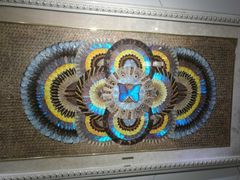 -上海昆虫博物馆