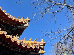 -贤良祠