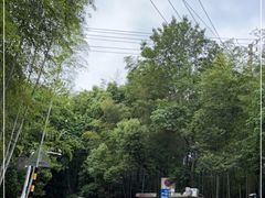-紫金山山顶公园