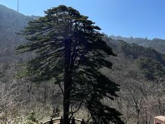 -黄山风景区