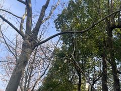 -四里河滨水生态公园