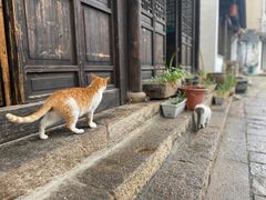 -黎里古镇