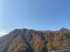 -秦岭风景区