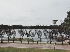 -美兰湖景区