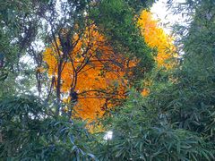 -西安市广仁寺
