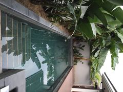 -候鸟水榕庄度假酒店