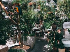 -The Grounds of Alexandria