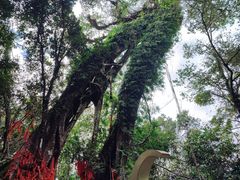 -七仙岭温泉国家森林公园